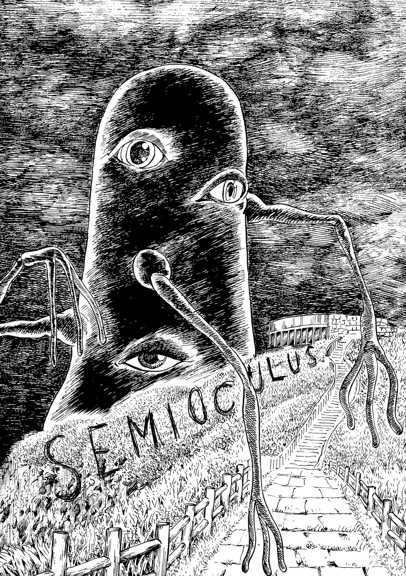 Semiocuclus 13